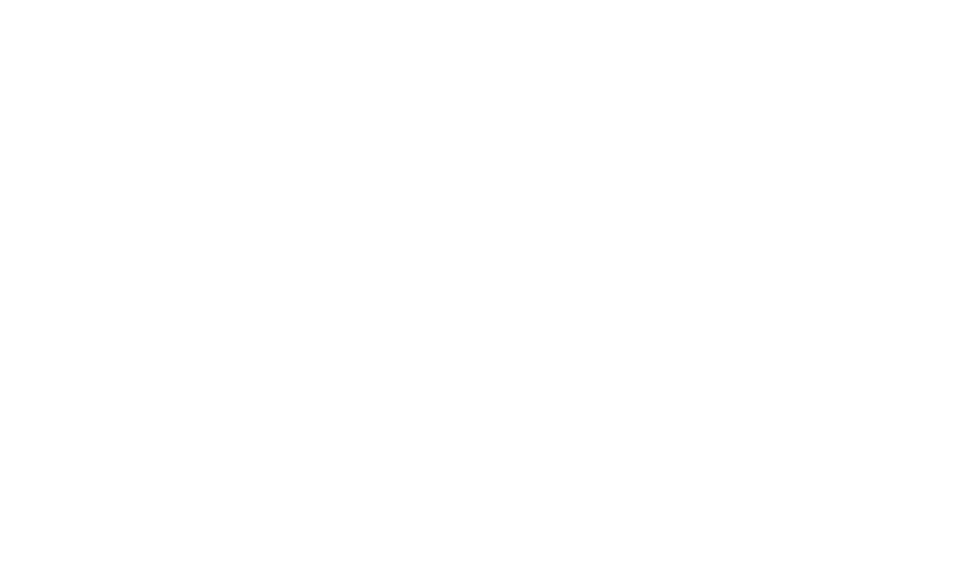 1936 - 2026, novant'anni dell'Archivio FOtografico. Francesco Leoni
